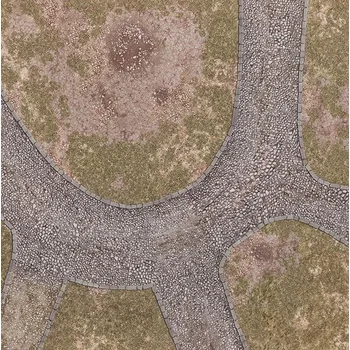 Příslušenství k deskovým hrám Gamemat.eu Herní podložka 3'x3' (91,5 x 91,5 cm) - různé motivy Barva: Forgotten Realm