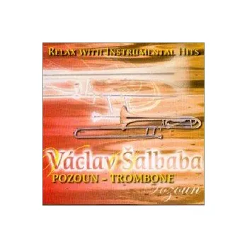 Relaxační hudba Relax With Instrumental Hits / Pozoun - Šalbaba Václav [CD]