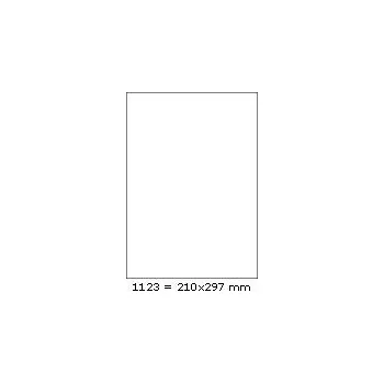 Samolepící etiketa Etikety 210,0x297,0mm, R01231123, modré, 100 archů
