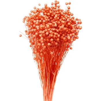 Sušený len oranžový 80 g