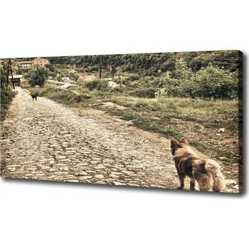 Obraz Foto obraz na plátně Dva psi na kopci