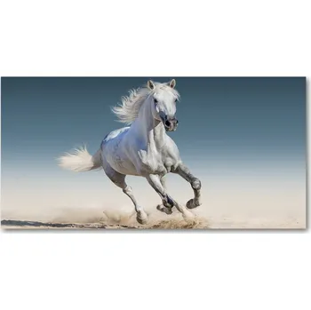 Obraz Foto-obraz na skle horizontální Bílý kůň ve cvalu