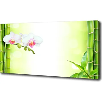 Obraz Foto obraz na plátně Orchidej a bambus