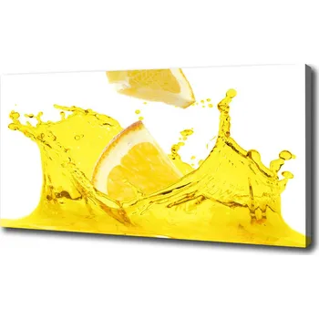 Obraz Foto obraz na plátně do obýváku Plátky citronu