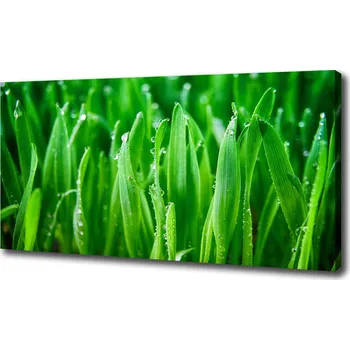 Obraz Foto obraz tištěný na plátně Tráva