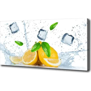 Obraz Foto obraz na plátně Citrony s ledem