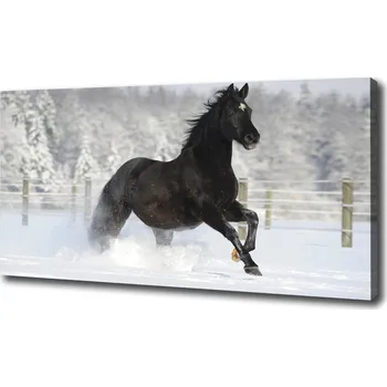 Obraz Foto obraz canvas Kůň ve cvalu sníh
