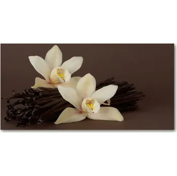 Obraz WallMuralia.cz osh-7056767 110 x 110 cm Vanilka