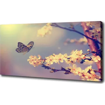 Obraz Moderní obraz canvas na rámu Květ viště a motýl