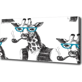 Obraz Foto obraz na plátně Žirava v brýlích