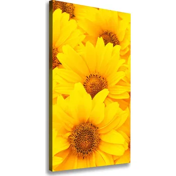 Obraz Vertikální Vertikální Foto obraz na plátně do obýváku Slunečníky