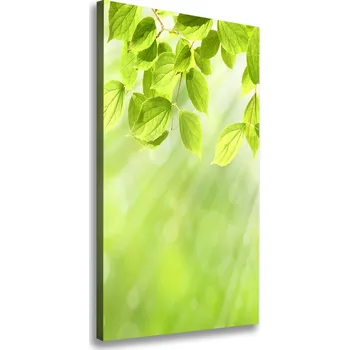 Obraz Vertikální Foto obraz na plátně Zelené listy