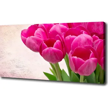 Obraz Moderní obraz canvas na rámu Růžové tulipány