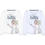 Frozen - licence Dívčí tričko - Frozen 52029007, světle šedý melír Barva: Šedá, Velikost: 104