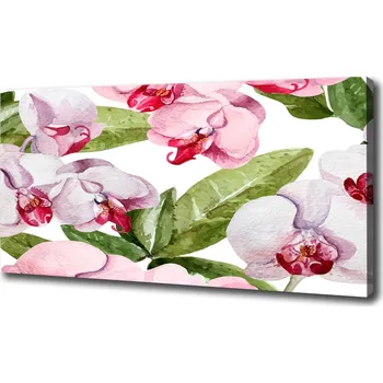 Obraz Foto obraz na plátně Růžové orchideje