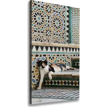 Obraz Vertikální Foto obraz canvas Kocour v Maroku