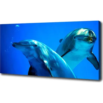 Obraz Moderní fotoobraz canvas na rámu Dva delfíni