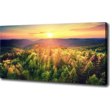 Obraz Foto obraz na plátně Les západ slunce