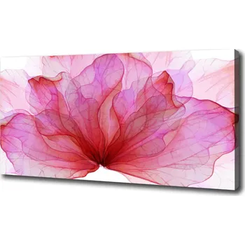 Obraz Foto obraz na plátně do obýváku Růžová květina