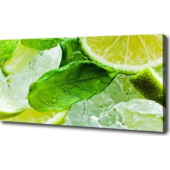 Obraz Foto obraz canvas Limetka s ledem