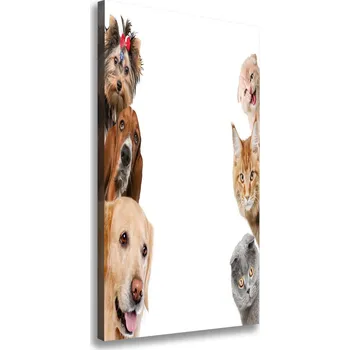 Obraz Vertikální Vertikální Foto obraz na plátně do obýváku Psy a kočky