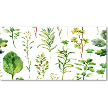 Obraz Foto obraz skleněný horizontální Bylina a plevel