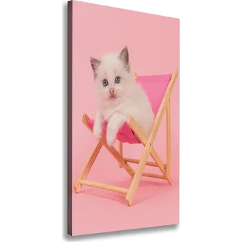 Obraz Vertikální Foto obraz na plátně Kocour na lehátku