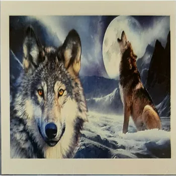 Diamantové malování Diamantové obrázky 30x40cm Vlci