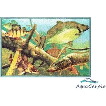 Rohožka Rohožka Delphin Aqua