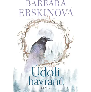 Kniha Údolí havranů - Barbara Erskine, Barbara Erskinová (E-Kniha)