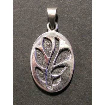 Přívěsek Znak rostliny - stříbrný přívěsek / přívěsek ze stříbra