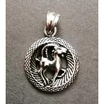 Přívěsek Kozoroh - ocelový přívěsek