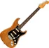 Elektrická kytara Fender American Professional II Stratocaster RW RST PIN