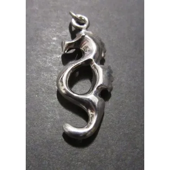 Přívěsek Velký mořský koník - stříbrný přívěsek