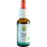 Chanca piedra AF tinktura 30ml Salvia Paradise