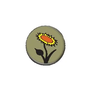 Slunečnice - placka