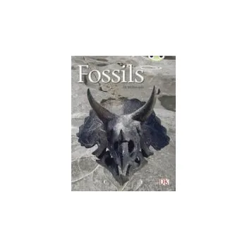 Cizí jazyk Bug Club Guided Non Fiction Year Two Gold A Fossils - McDougall, Jill