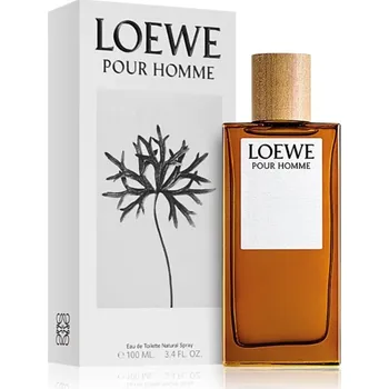 Pánský parfém Loewe Loewe Loewe Pour Homme, Toaletní voda 100ml Pre mužov Toaletní voda