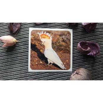 samolepka Kakadů inka