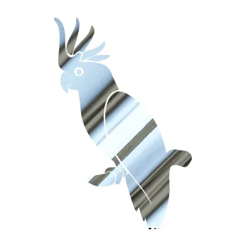 Samolepicí dekorace na vozidlo Papoušek 010 levá kakadu (80 - chrom fólie stříbrná zrcadlová) SAMOLEPKA NA AUTO, NÁLEPKA, FÓLIE, POLEP, TUNING, VLASTNÍ TEXT, TISK, AUTOSAMOLEPKY.cz, POLEPY, OBRÁZEK, LOGO, 3D STICKERS