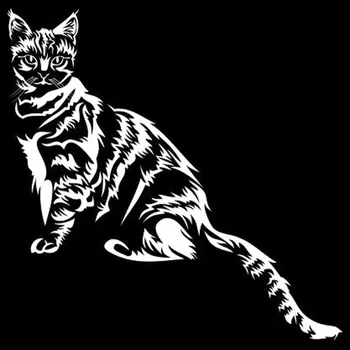 samolepka Samolepka (na auto, notebook) Kočka - bílá (17)