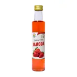 Jahoda ovocný koncentrát 250 ml Salvia Paradise