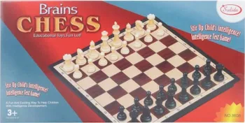 Šachy Magnetické šachy 27 x 27 cm