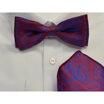 Motýlek Pánský motýlek s kapesníkem M5 - vzor 237