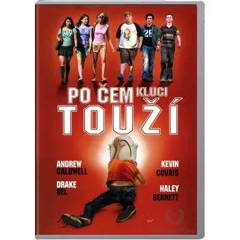 DVD film Po čem kluci touží - DVD