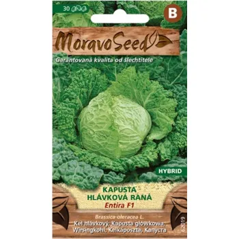 Semeno Kapusta hlávková raná Entira F1