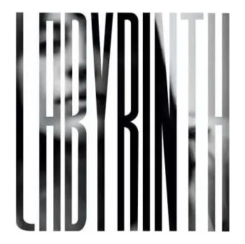 Zahraniční hudba LP Heather Woods Broderick: Labyrinth (grey Vinyl) 2023