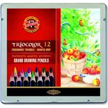 KOH-I-NOOR Triocolor 3162 12 ks