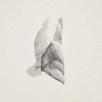 Zahraniční hudba CD Jabu: Sleep Heavy 2017