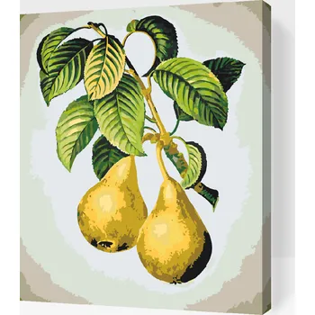 Malování podle čísel - Zralé hrušky Velikost: 30x40cm, Rámování: Pouze srolované plátno
